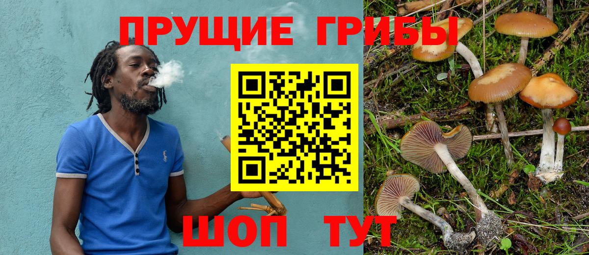 Галлюциногенные грибы Magic Shrooms Коркино